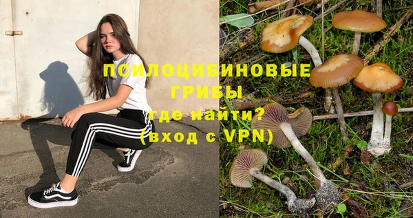 спиды Алексин