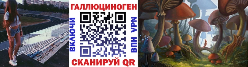 Псилоцибиновые грибы прущие грибы дарнет шоп Коркино